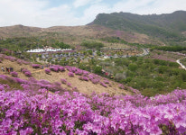 박희운의 맛이 있는 여행  가는 봄을 즐기다