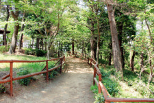 창원 진해구 걷기좋은 명품 길 발굴 선정