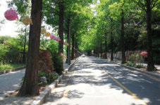 창원 가로수거리서 두 번째 소풍유락