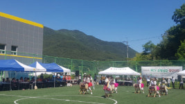 산청군 단성면, 은빛섬김 열린마당 행사