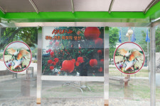 창녕 성산면, 버스승강장 따오기 사진 교체