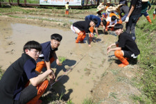 통영RCE세자트라숲, 다랭이논 손 모내기 체험 행사