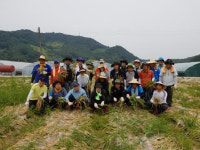 농어촌공사 진주산청지사 양파농가 일손돕기