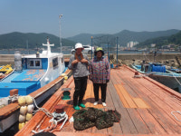 통영 청해회, 경로당에 채취한 바지락 기부