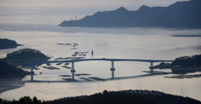 박희운의 맛이 있는 여행  전남 진도 조도
