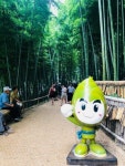 보기만해도 시원한 거제 맹종죽 테마파크