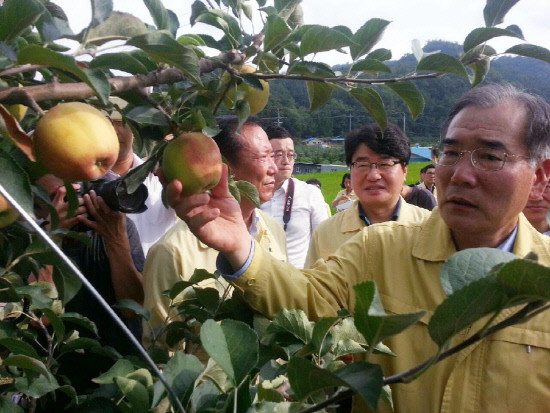 김민석 총리, 폭염 대응 점검에 본격 참여…관련 업무 강화 중