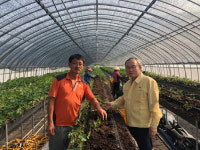 NH농협 통영시지부 폭염피해 예방활동