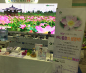 아라홍련 줄기세포 추출수 화장품 해외진출