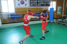 [행복한 도전]진주중앙중 복싱부