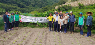 하동군 화개면, 휴경지 사랑의 배추 심기