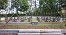 사천국군묘지, 관리 해법 없나