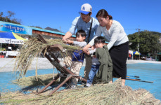 함양 마천골 흑돼지축제 맛있겠네