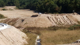 가축유전자원센터공사장 인근 하천 흙탕물