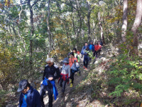 창원 사파동 동민화합 한마음 걷기 DAY 열어