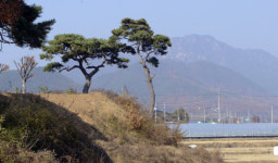 명산 플러스 거창 박유산