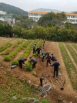 창원시 의창구 희망근로자 산림환경 정비