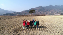 하동 평사리들판서 논두렁 축구대회 열린다