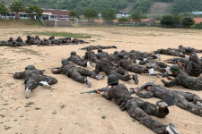 해군교육사령부 전투교식당 | 부산 동주대 해군교육사령부 병영체험