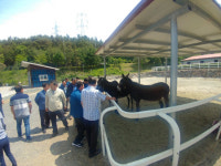 함안 산인면 이장단 승마공원 견학