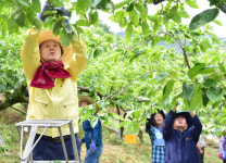 진주시, 농촌일손돕기 앞장