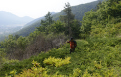 명산플러스(221) 창원 준봉산