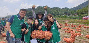 진주상록회·다솜상록회, 양파농가 일손돕기