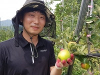 경남 농업의 미래, 청년이 일군다[3] 민천홍씨