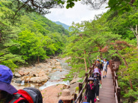 올 여름 여기 어때(7)-산청군 명품 계곡