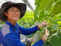 경남 농업의 미래, 청년이 일군다[6] 진주 박주현씨