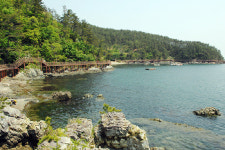 거제시 섬앤섬길·남파랑길 전국걷기축제 개최