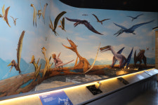 진주익룡발자국전시관 19일 정식 개관