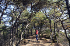 명산 플러스[232] 곡성 괘일산·설산