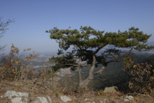 명산 플러스[232] 곡성 괘일산·설산