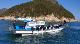 거제수협, 장목면 외포해역에 대구자어 방류