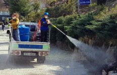 진주시 상봉동단체장협의회 합동 예방방역