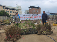 거창군산림조합, 경관조성용 라일락 등 300주 기증