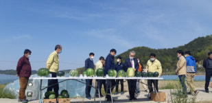 함안수박 재배기술 고정식 수박하우스 공개