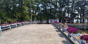 남해군 상주은모래비치, 꽃길로 새단장