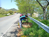 거제 하청면, 칠천도 연륙교 앞 꽃 심기