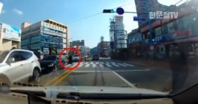 무단횡단 교통사고도 운전자 과실?