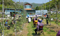 창녕군, 농작업 안전장비 보급