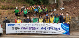 마산회원구 봉암동, 으뜸마을만들기 나무심기