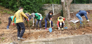 마산회원구 봉암동, 으뜸마을만들기 나무심기