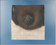 불나면 보호막 만드는 건축용 폼보드 개발