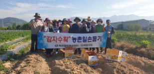 의창구 북면, 감자수확 농촌일손돕기 구슬땀