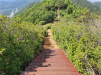 창원 성산구 비음산 산행환경 정비