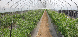 통영시, 우수 농산물 대형마트 입점