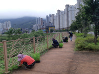 마산합포구 현동, 유수지 꽃식재 산책길 조성