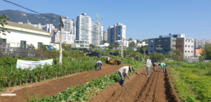 양산시 평산동 십시일반 텃밭가꾸기